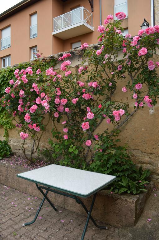 Cote Midi Chambre D'Hote Hotel Chaneins Exterior photo